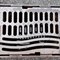 11-20 8